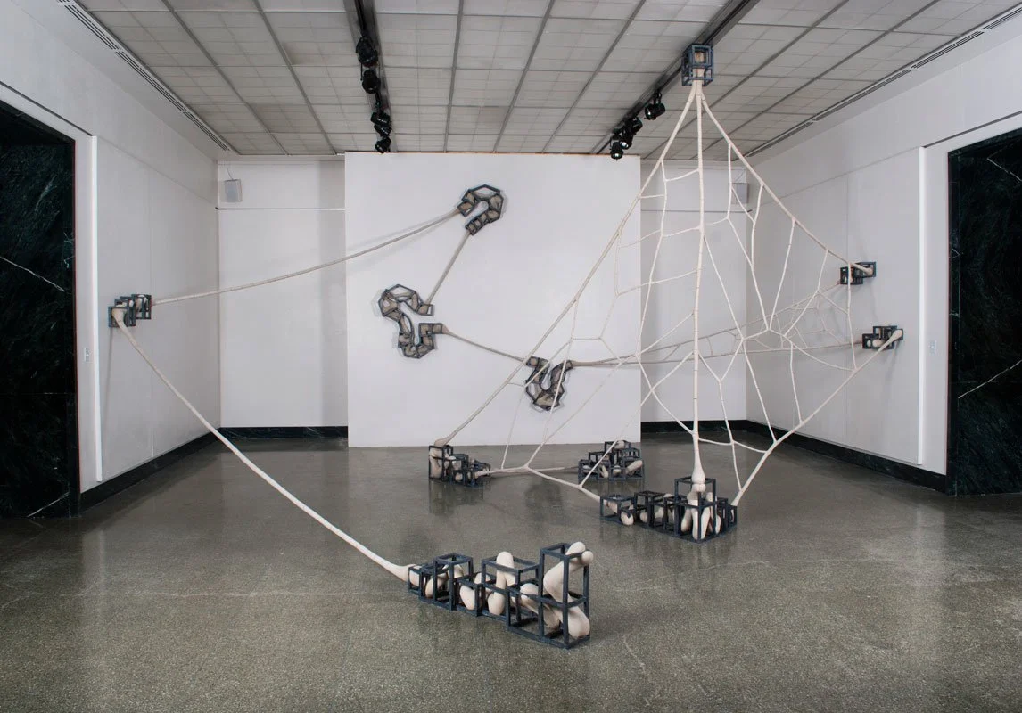     MFA,  D. Katz —  Mediated Landscape       Ceramic, Clay, Wire, Paint. 25’ x 32’ x 12’, 2012     
