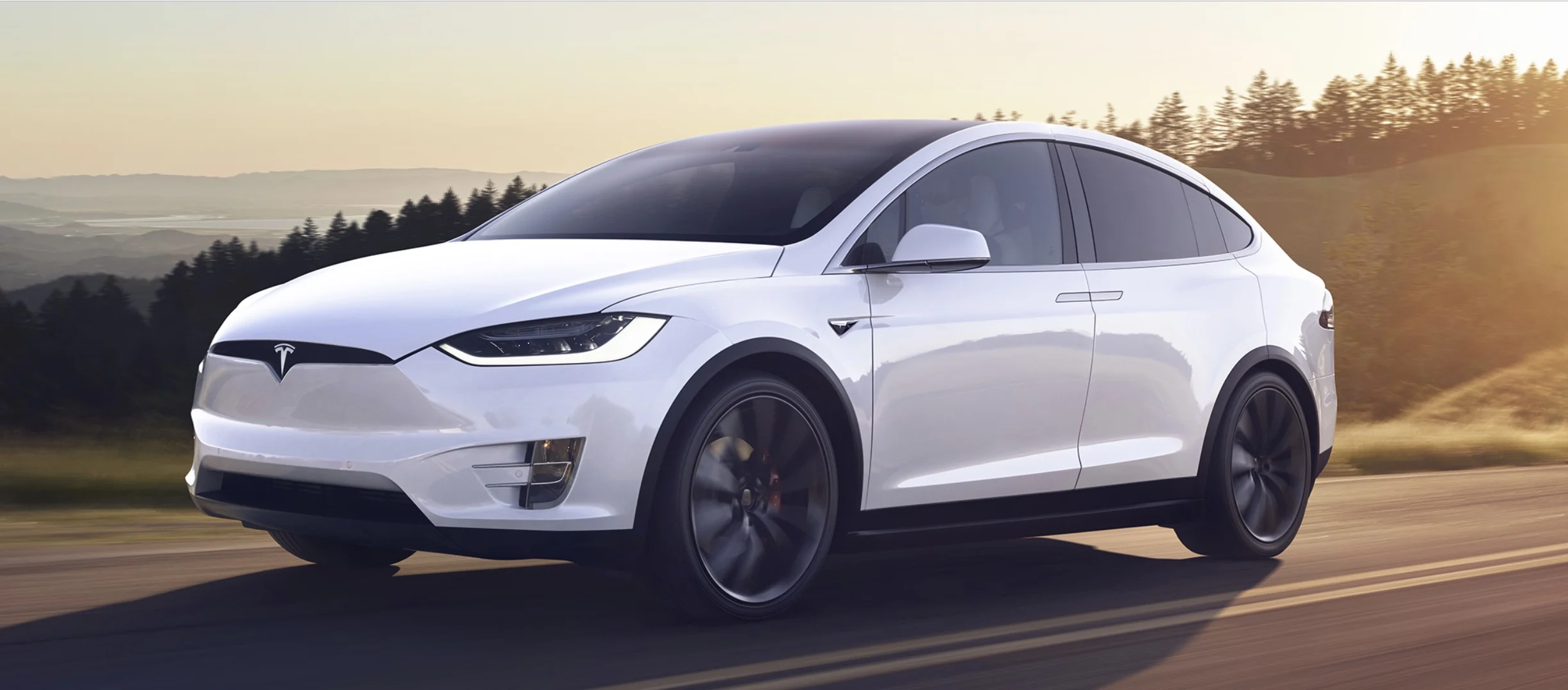 tesla.jpeg