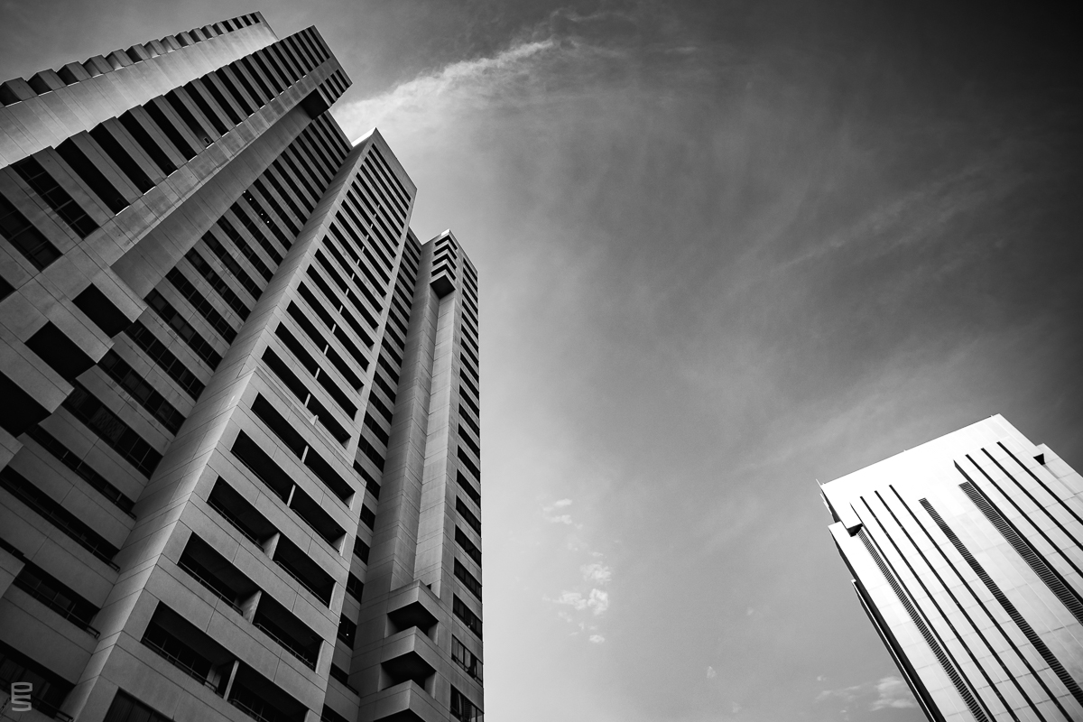 Looking Up in San Diego #1