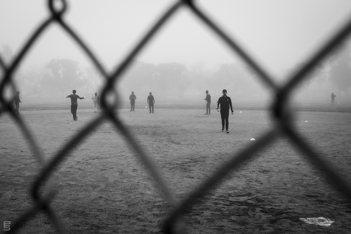 Cricket in the Fog