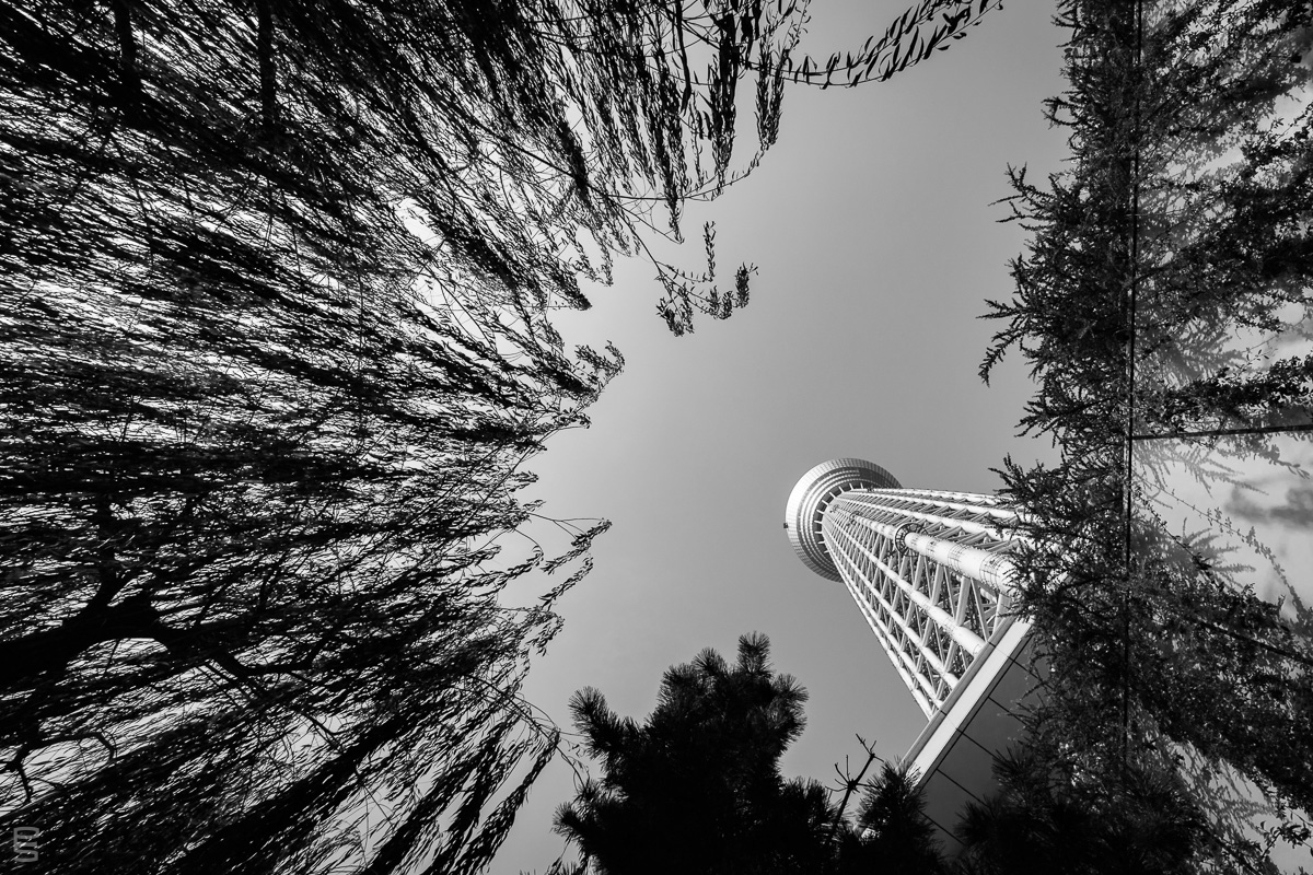 Tokyo Sky Tree