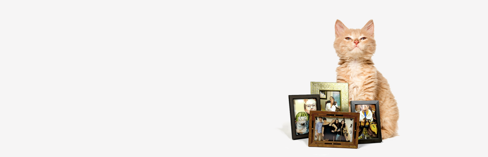 how were different.png