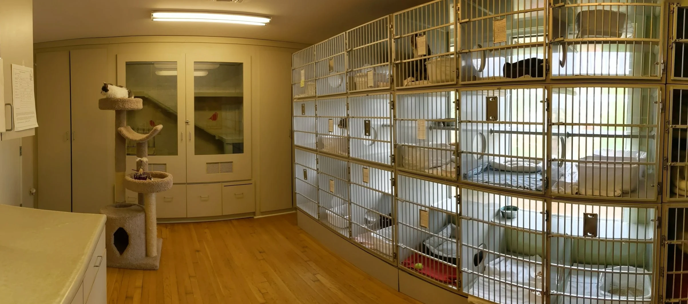 Cozy, clean, and quiet