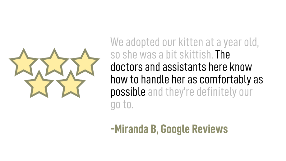Miranda Bradley.png
