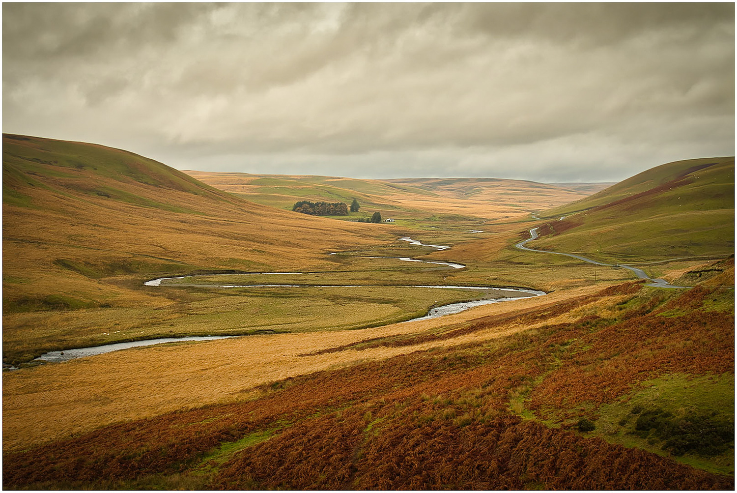 Scapes_Snowdonia Stream_Paul Harrop_Agr_DPI Merit