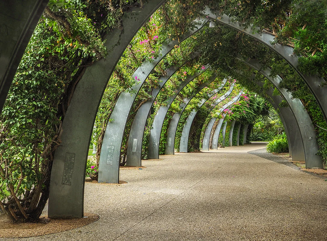 Arches - Gaye Edwards