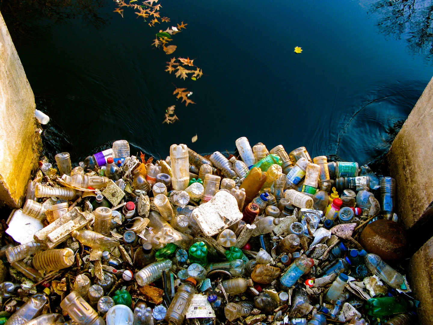 DPI_2nd_Social Documentary_Stop Plastic Ahead_Roschelle Don_ABgr