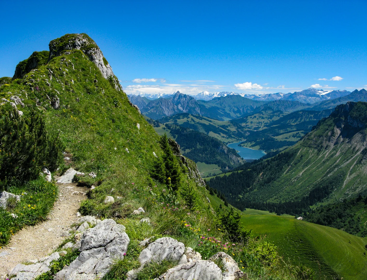 DPI_1st_Nature_Clear Day at Rochers de Naye Switzerland_Roschelle Don_ABgrade
