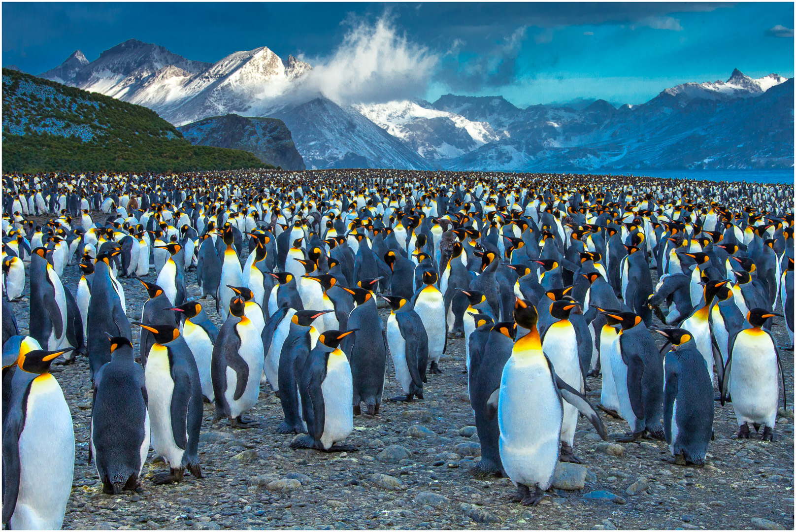 DPI_2nd_Nature_Where'sMum_MartinRiley_Bgrade