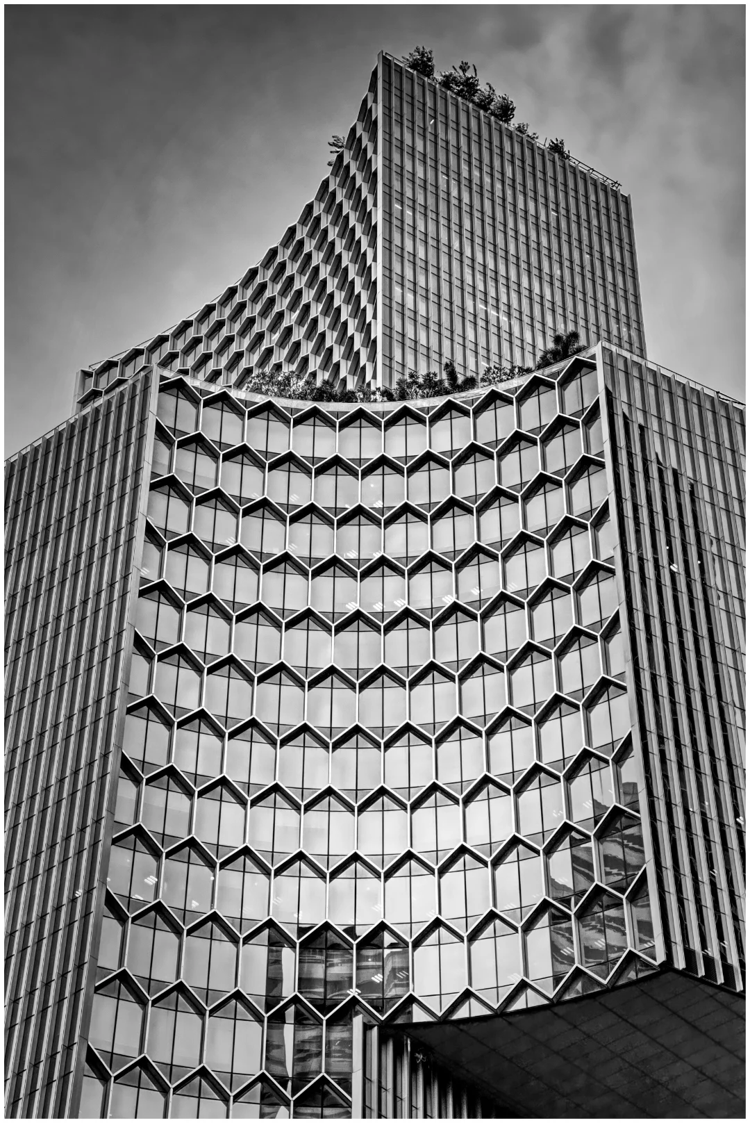 Architecture_Curved Shapes_P Moodie_Bgr_Honour