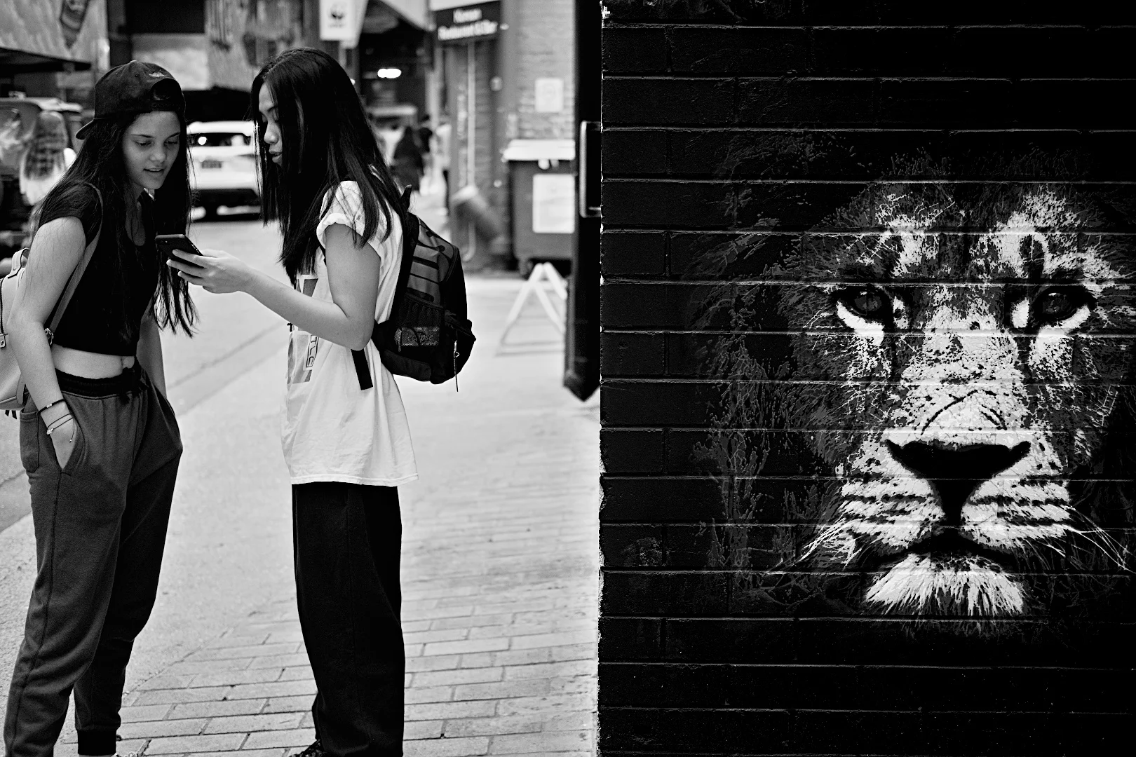 Open_Urban Jungle_Paul Cook_ABgr_Merit