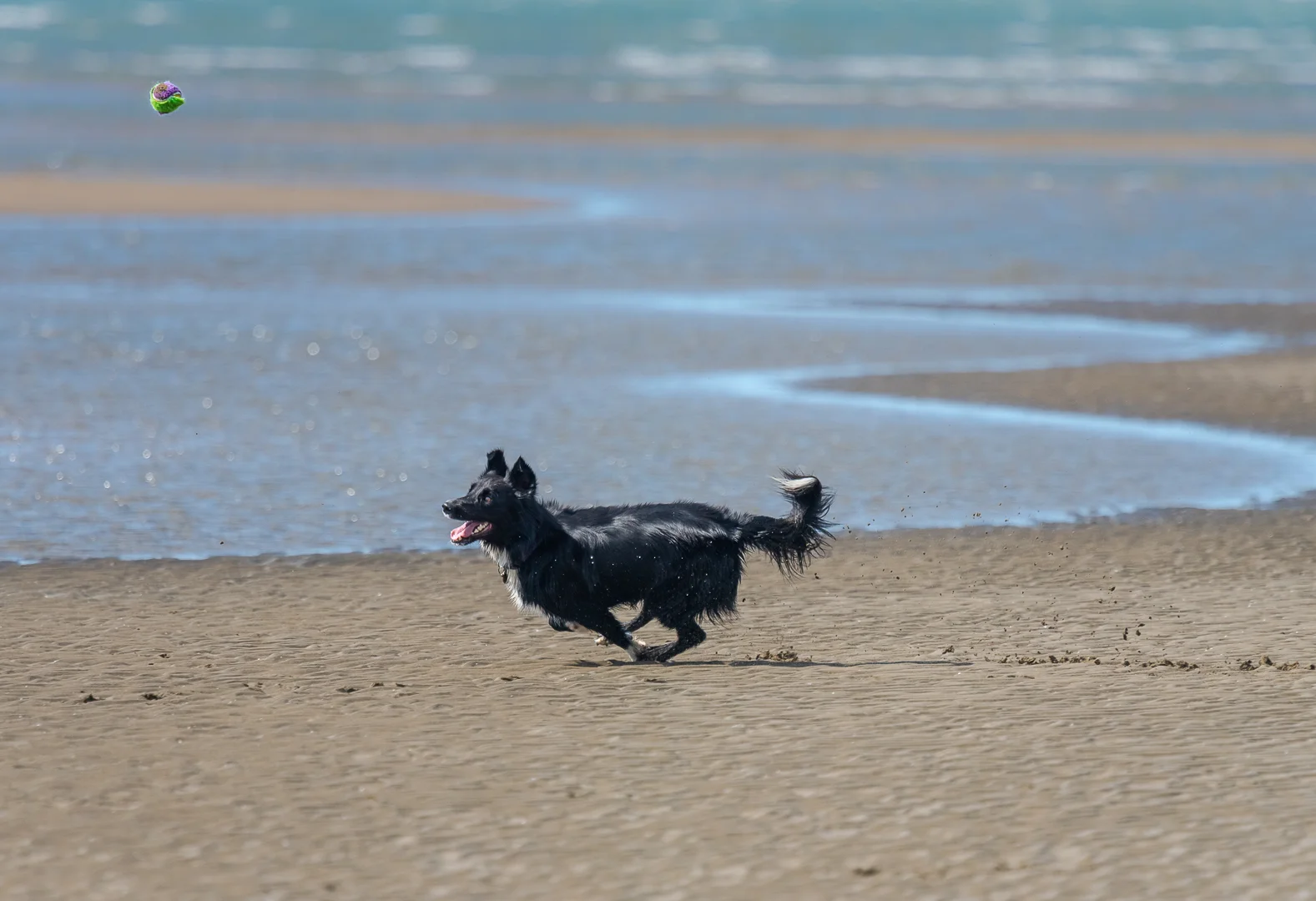 At Nudgee Beach - 2019