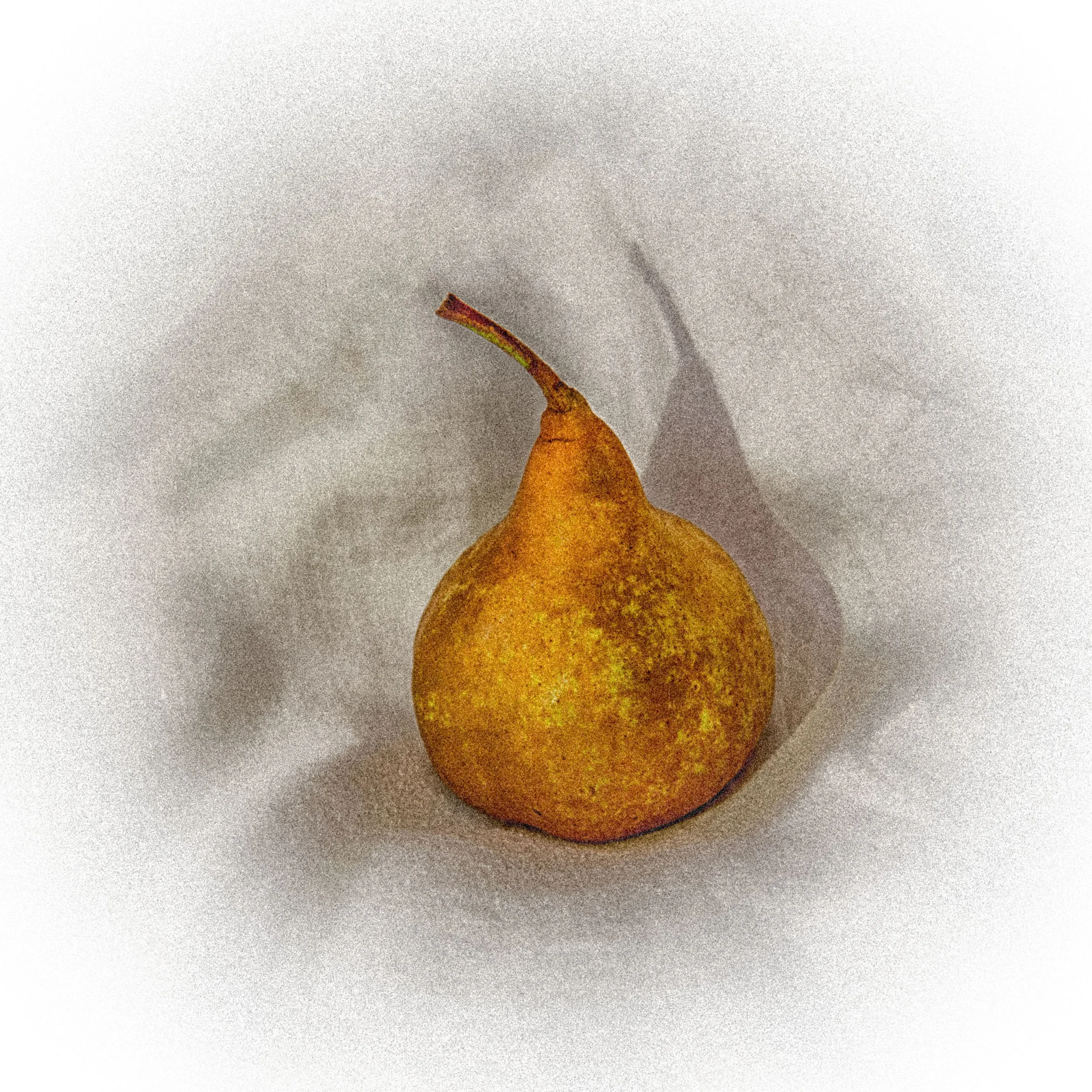 What QCG has given me - by member Roger Bartlett