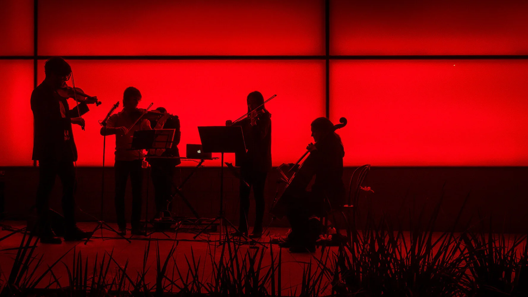 1 Orchestrated, Jasmine Westerman MERIT DPI