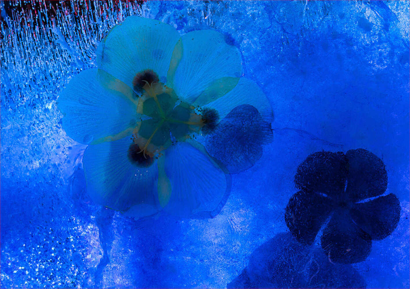 1 Ice and Light, Rodney Nancarrow MERIT DPI