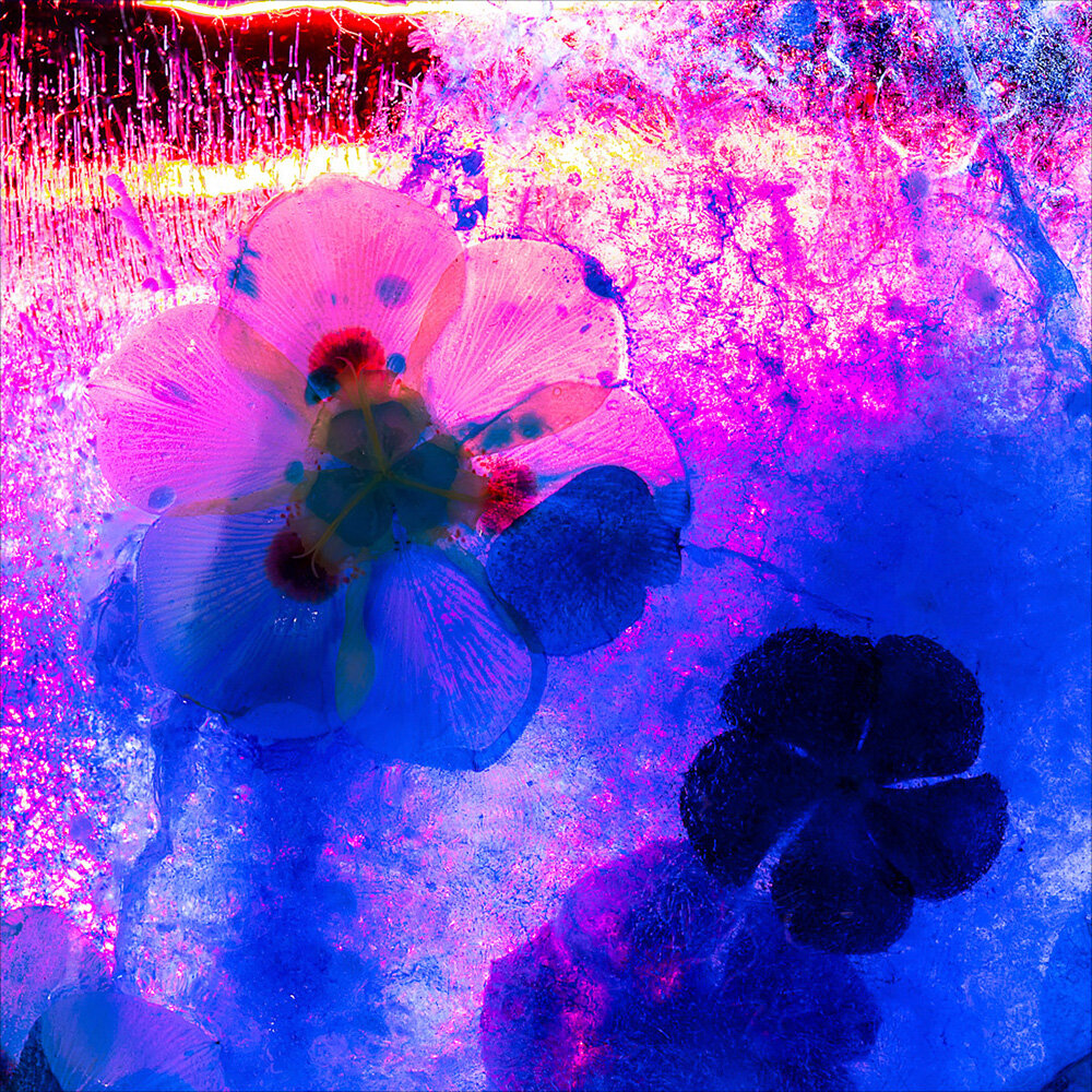 2 Ice and Light, Rodney Nancarrow MERIT DPI