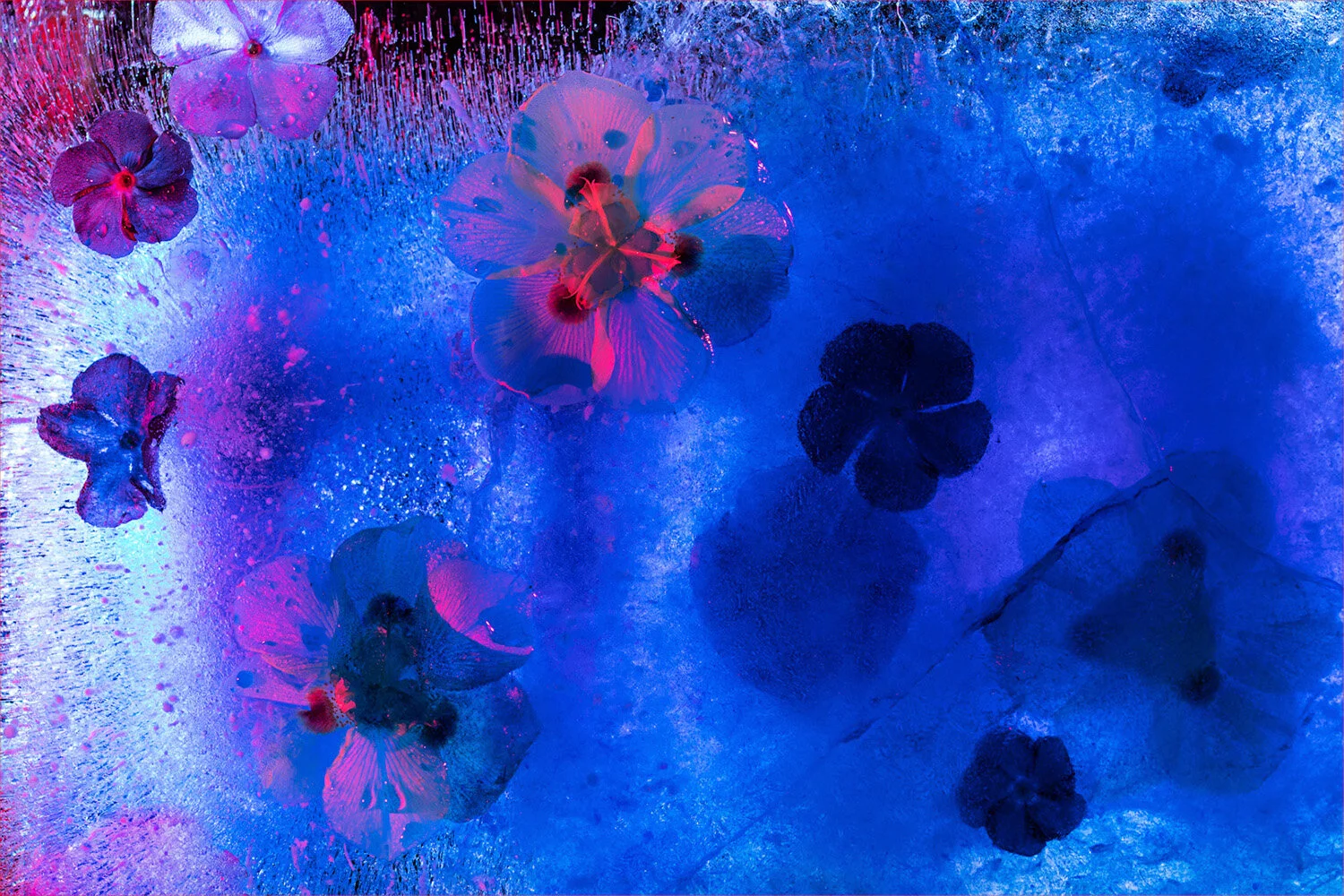 3 Ice and Light, Rodney Nancarrow MERIT DPI