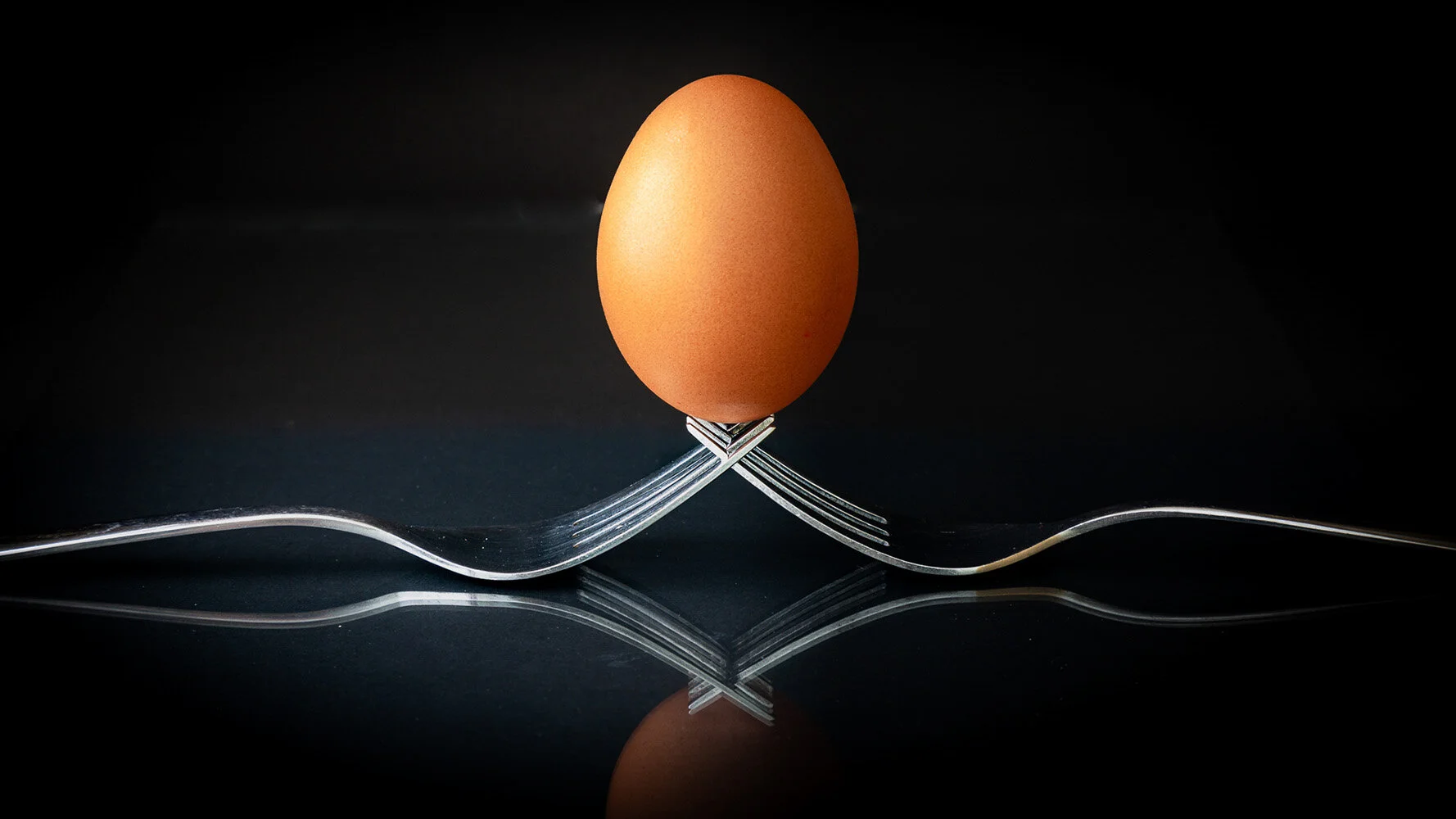 Still Life_Balanced Diet_Tony FitzGerald_AGr_DPI Honour