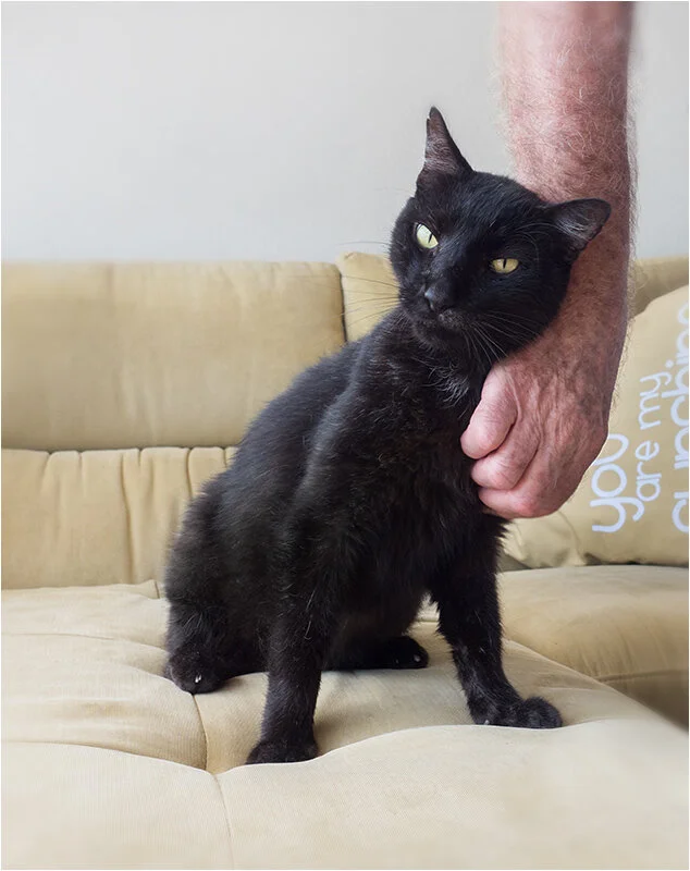 Gaye says Archie was quite the poser once he relaxed!