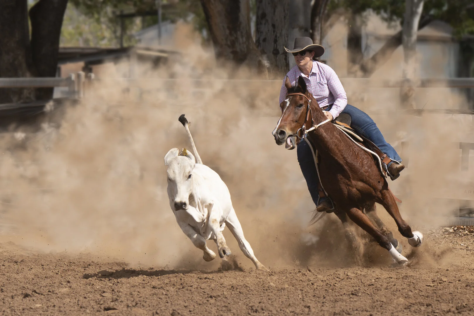 Tips for a Great 'Action' Image