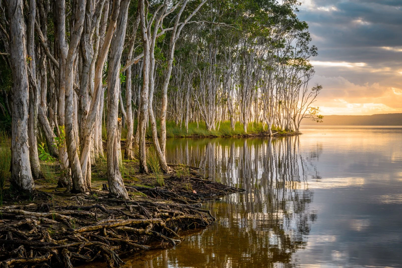 May25-A-Open-DPI-Merit---Diane-Foley---Morning-Calm.jpg