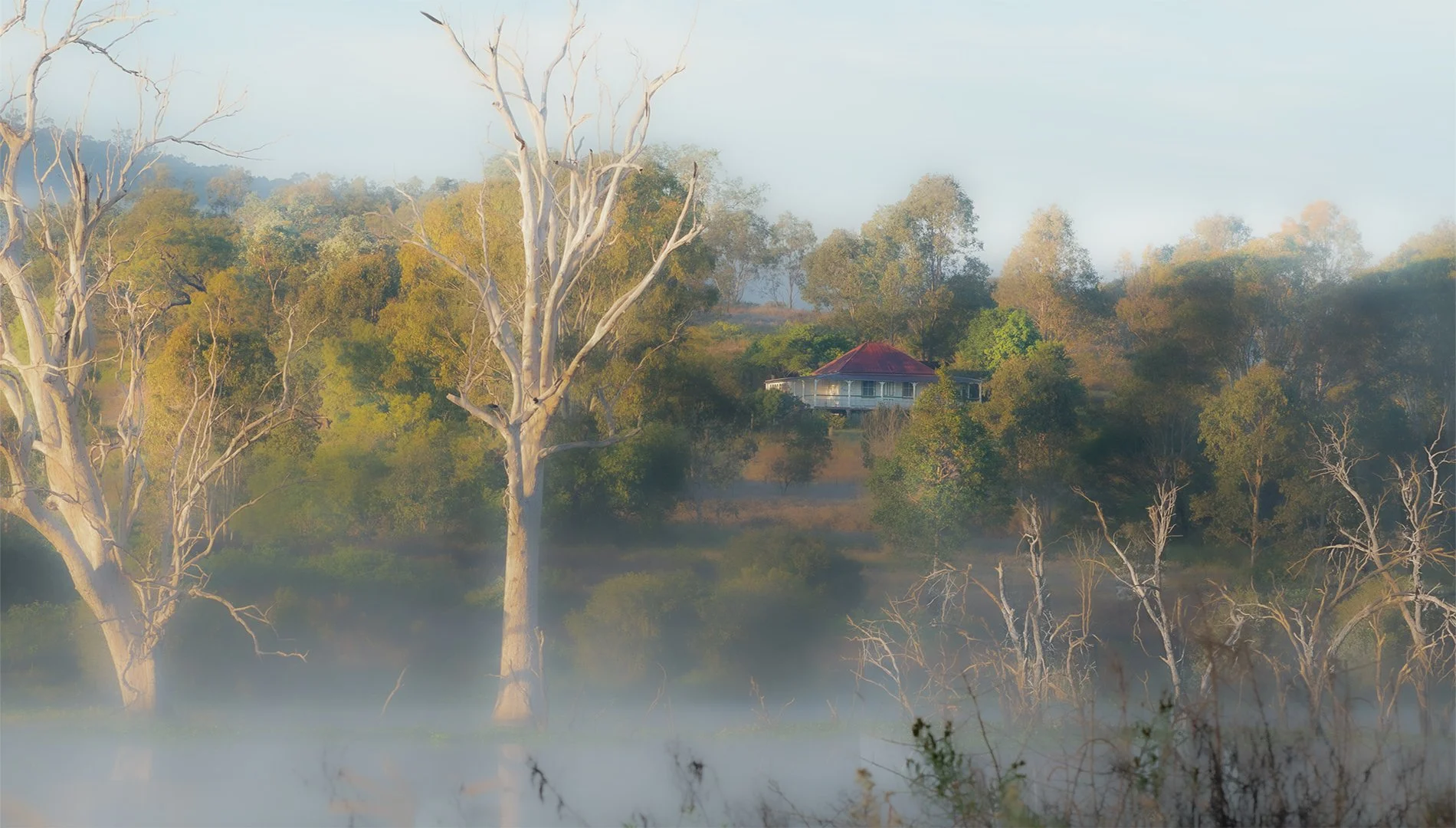 Standing alone in the mist-Sawindar Ranu.jpg