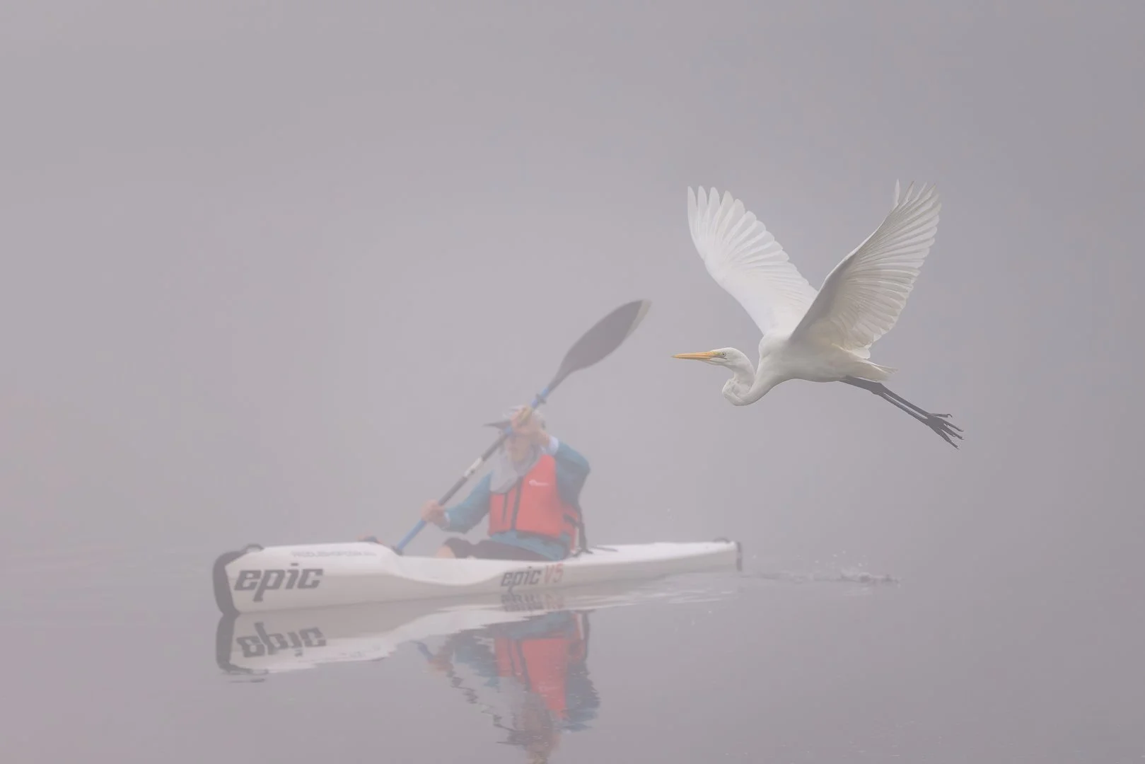 Jane McMenamin - Out of the Fog 