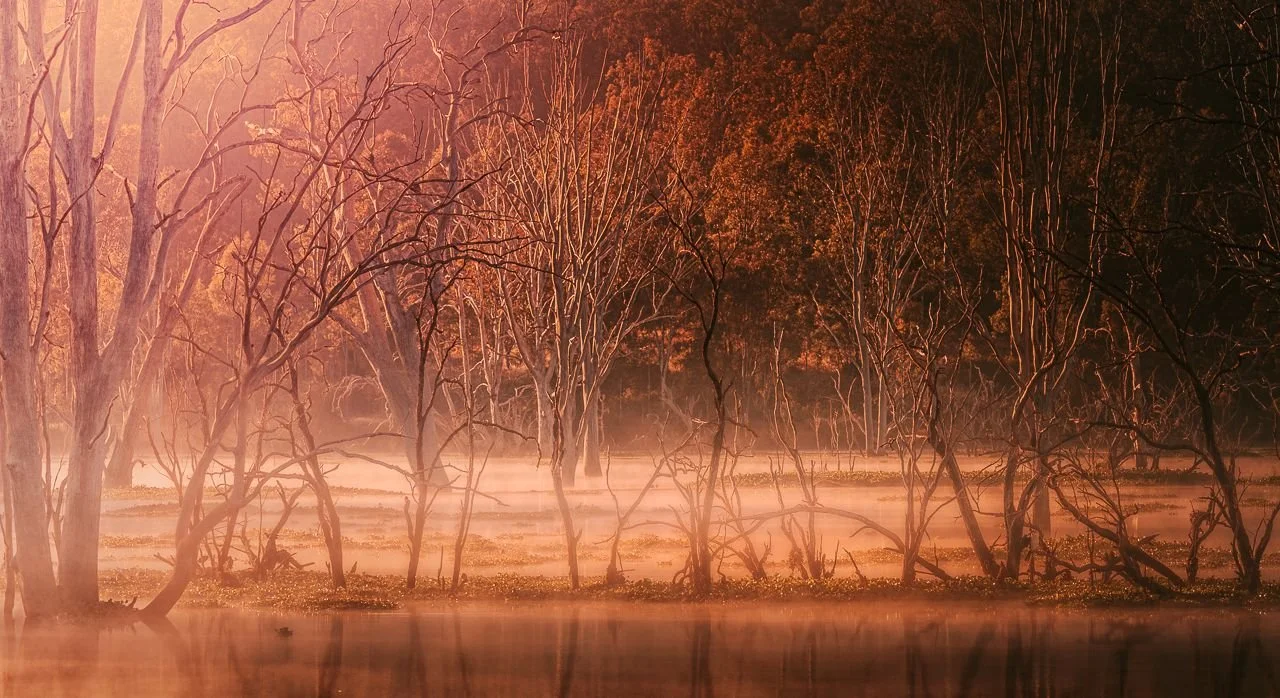  Susan Ryan - Autumn sunrise 