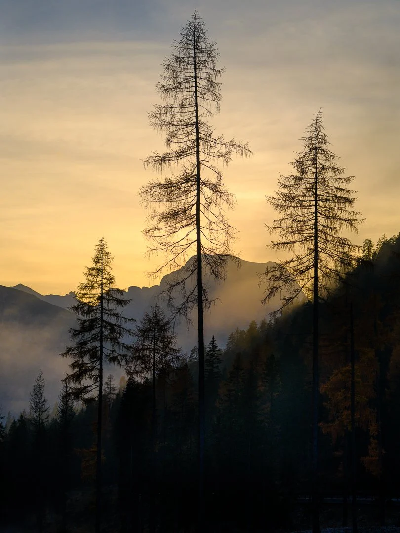 2025 Comp YE DPI A grade3rd place---Ralph-McConaghy---Kevin-was-always-tall-for-his-age.jpg (Copy)