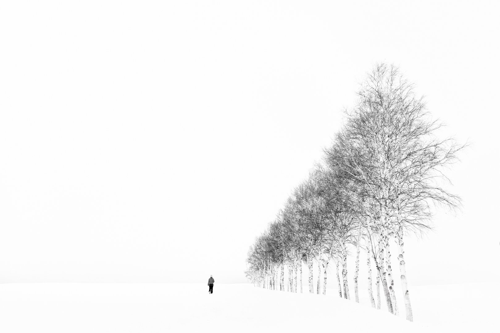 2025 Comp YE Print BW1st place---Martin-Riley---Snow-Hike.jpg (Copy)