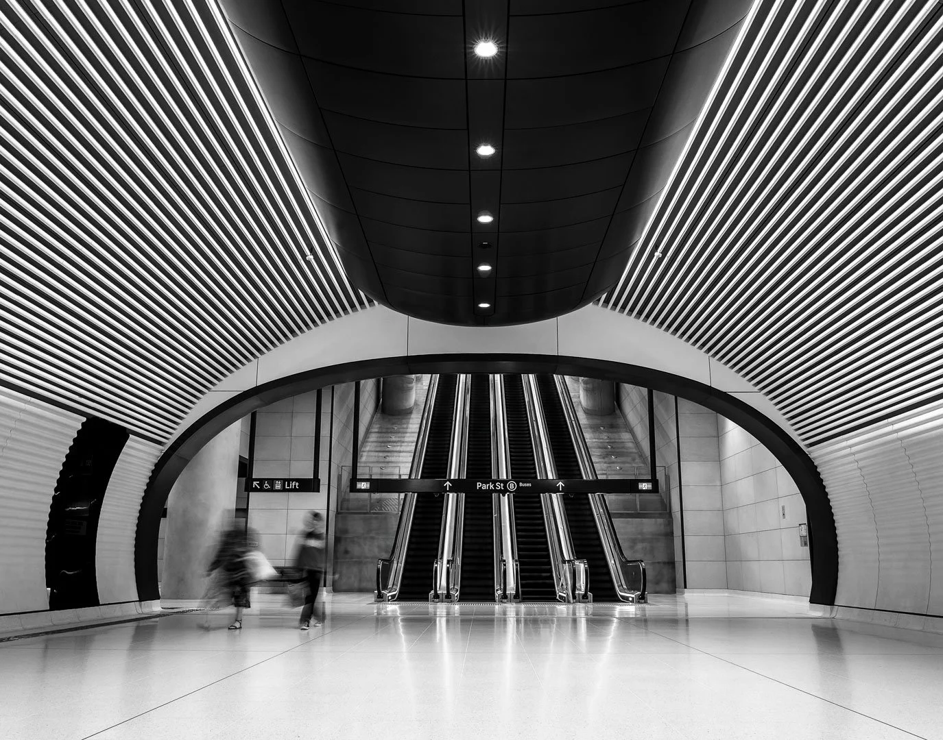 2025 Comp YE Print BWFinalist---Anne-Pappalardo---The-Departed.jpg (Copy)