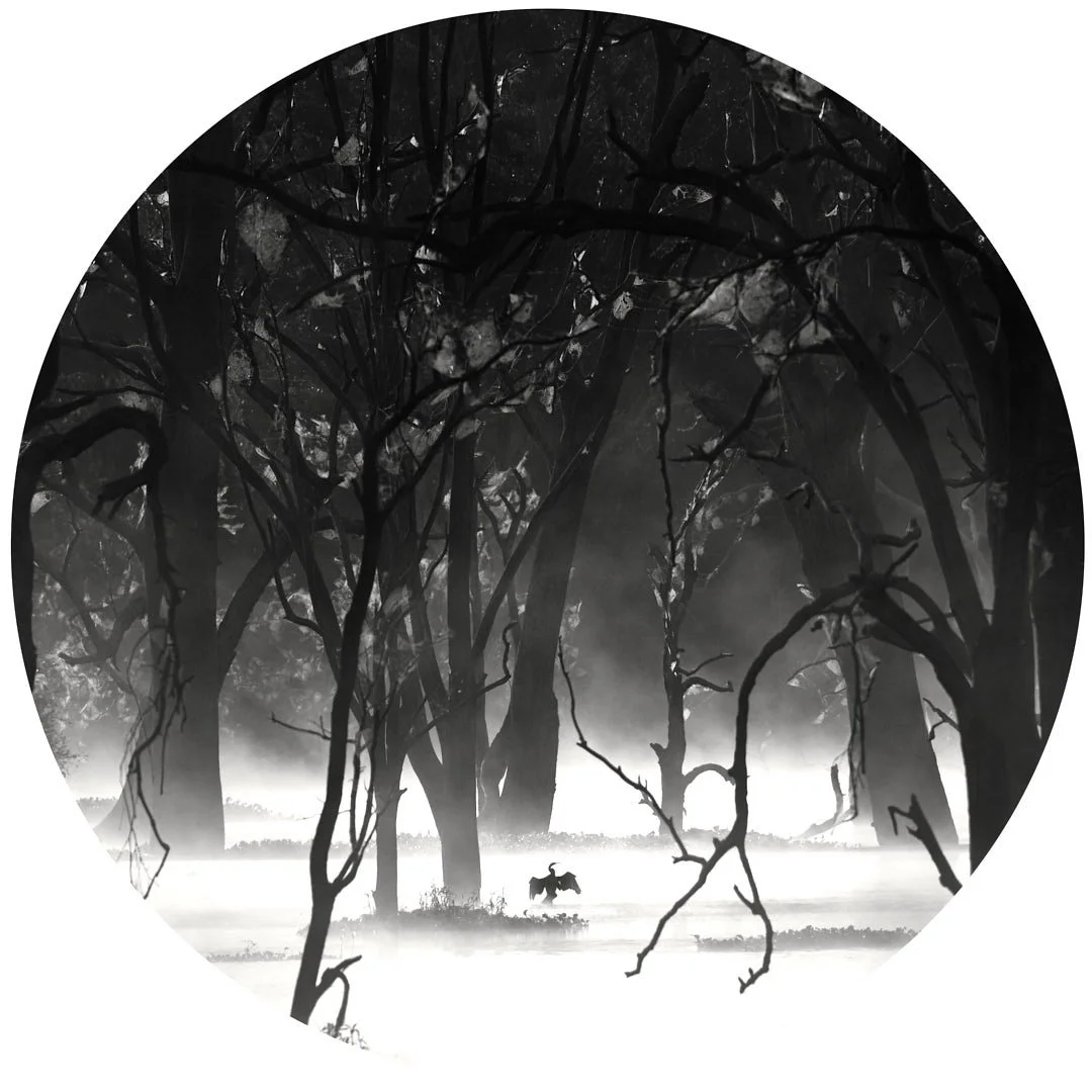 2025 Comp YE Print BWFinalist---Mel-Sinclair---The-Wetland-King.jpg (Copy)