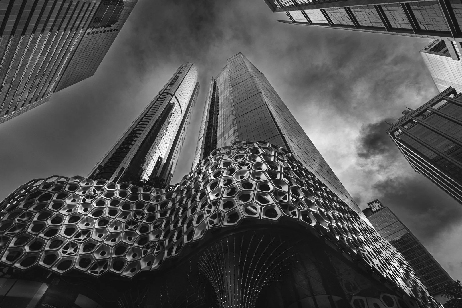 2025 Comp YE Print BWFinalist---Twiggy-Daniels---Urban-Redwood.jpg (Copy)