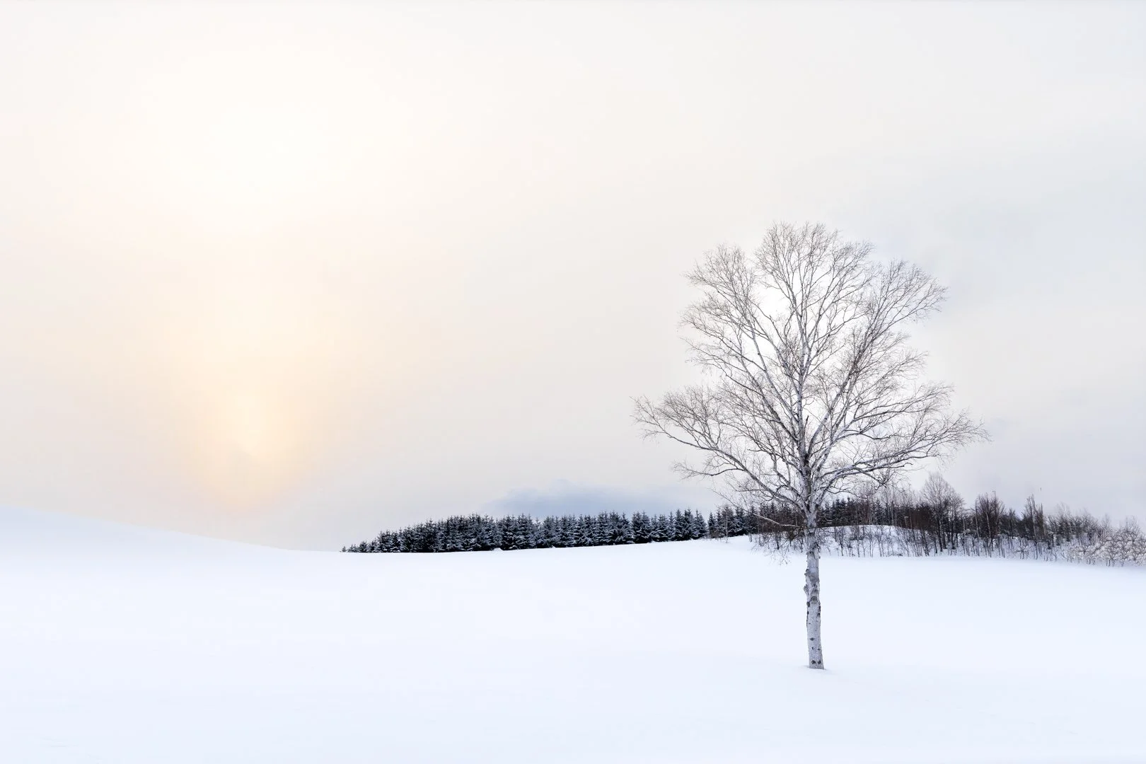 2025 Comp YE Print A Grade1st place---Martin-Riley---Standing-Out-From-the-Pack.jpg (Copy)