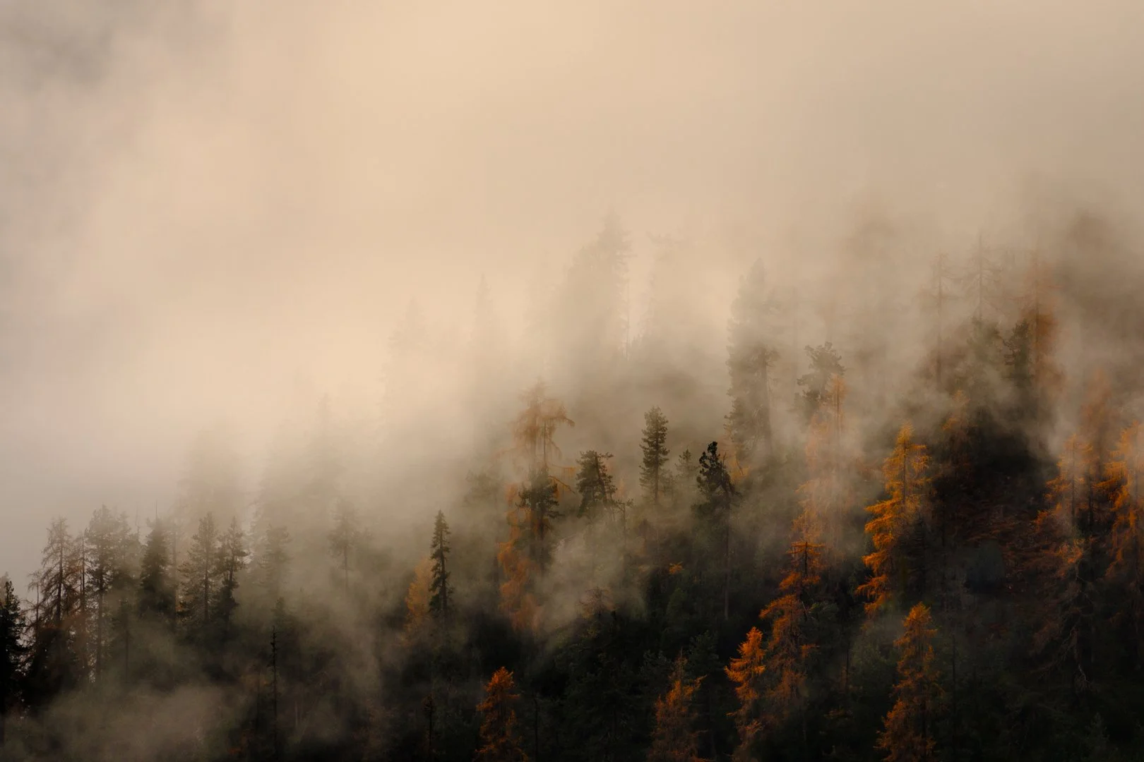 2025 Comp YE Print A Grade2nd place---Ralph-McConaghy---The-Reveal.jpg (Copy)