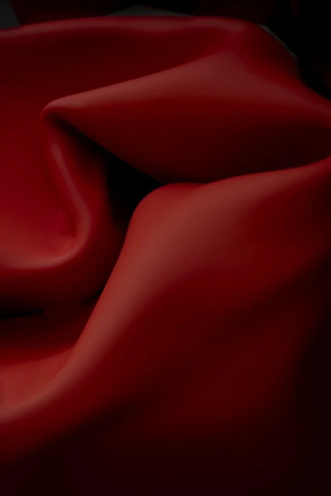 2025 Comp YE Print Ab Grade2nd place---Kate-Coote---Sensually-Red.jpg (Copy)