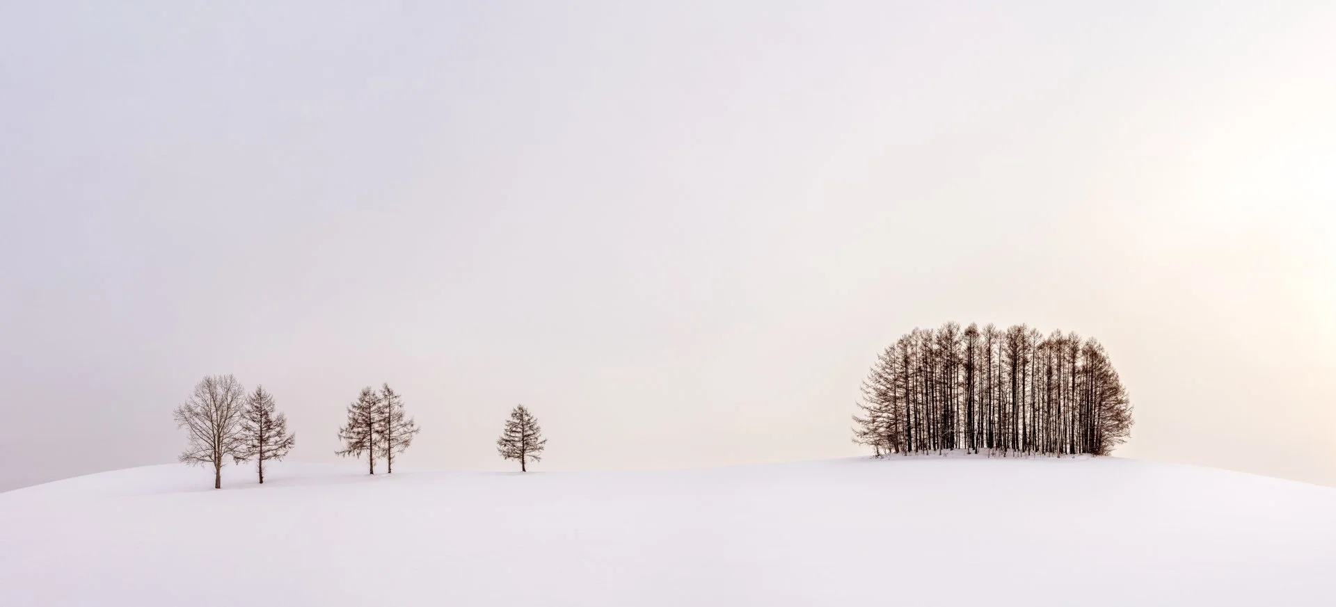 Competition Night - Minimalism and Open - F2F  only