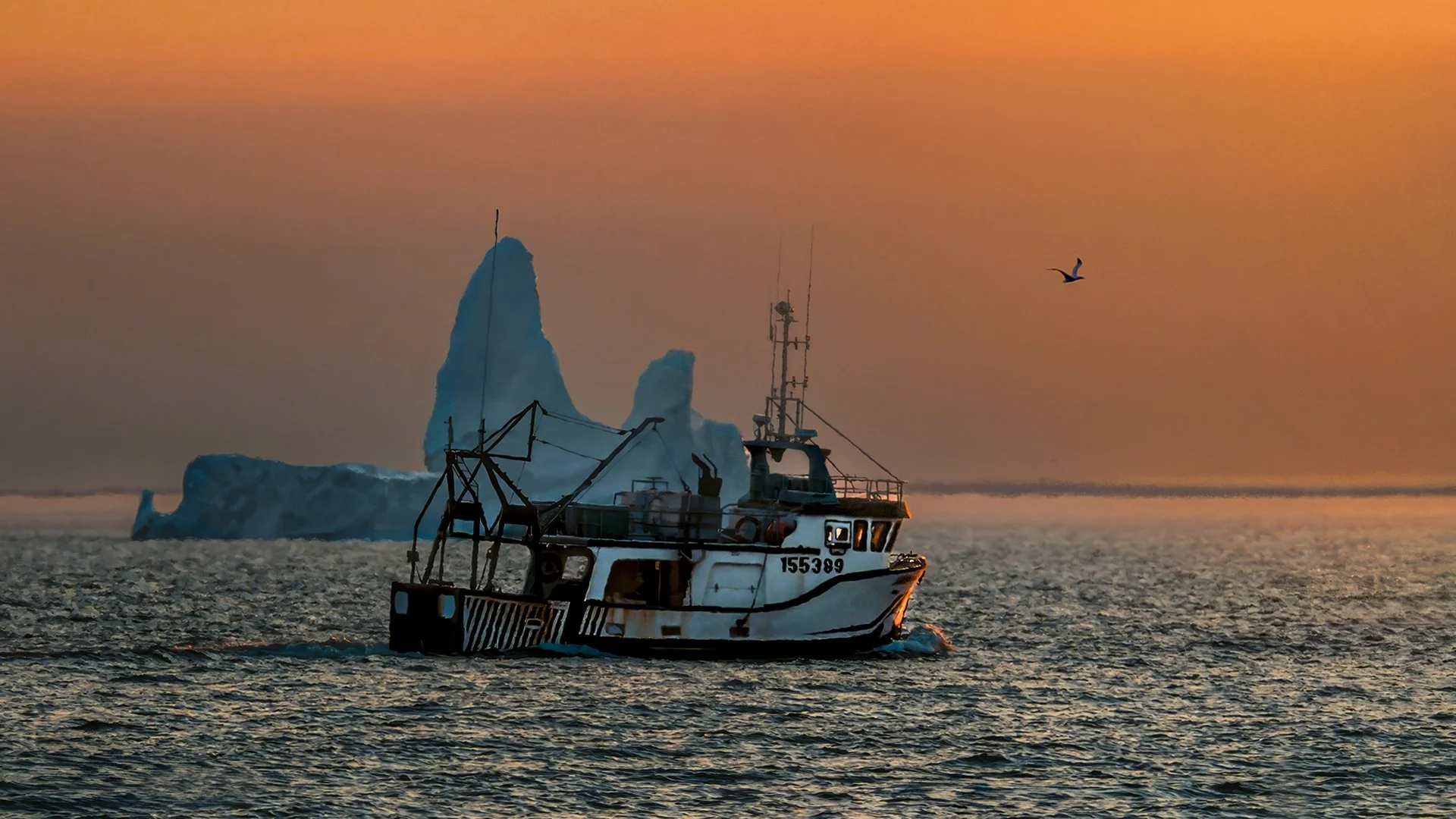May26-A-Nautical-DPI-Honour---Chris-Pigott---Dodging-the-Bergs.jpg