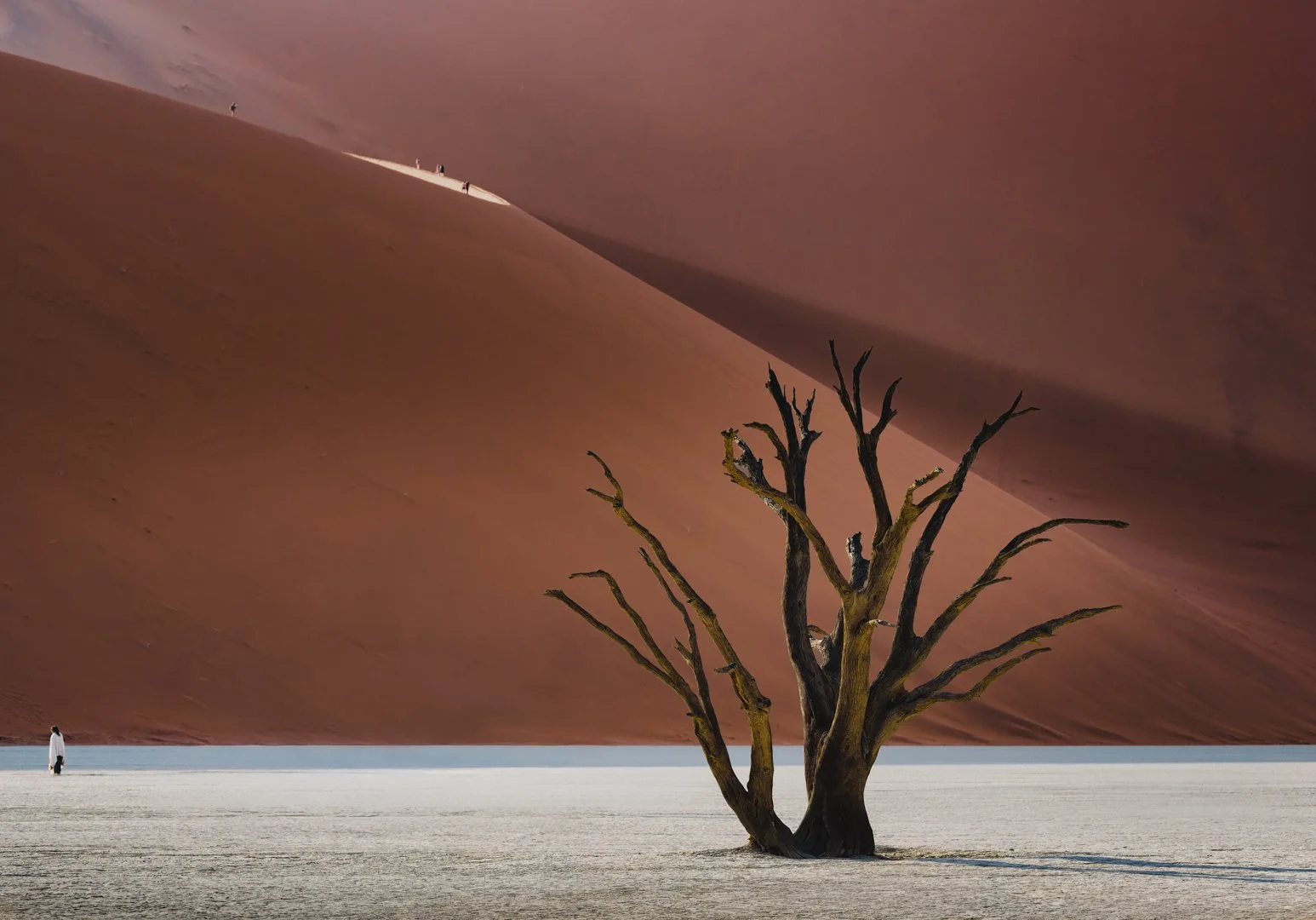 May26-A-Open-DPI-Honour---Nick-Lefebvre---Sun-rising-over-Deadvlei.jpg