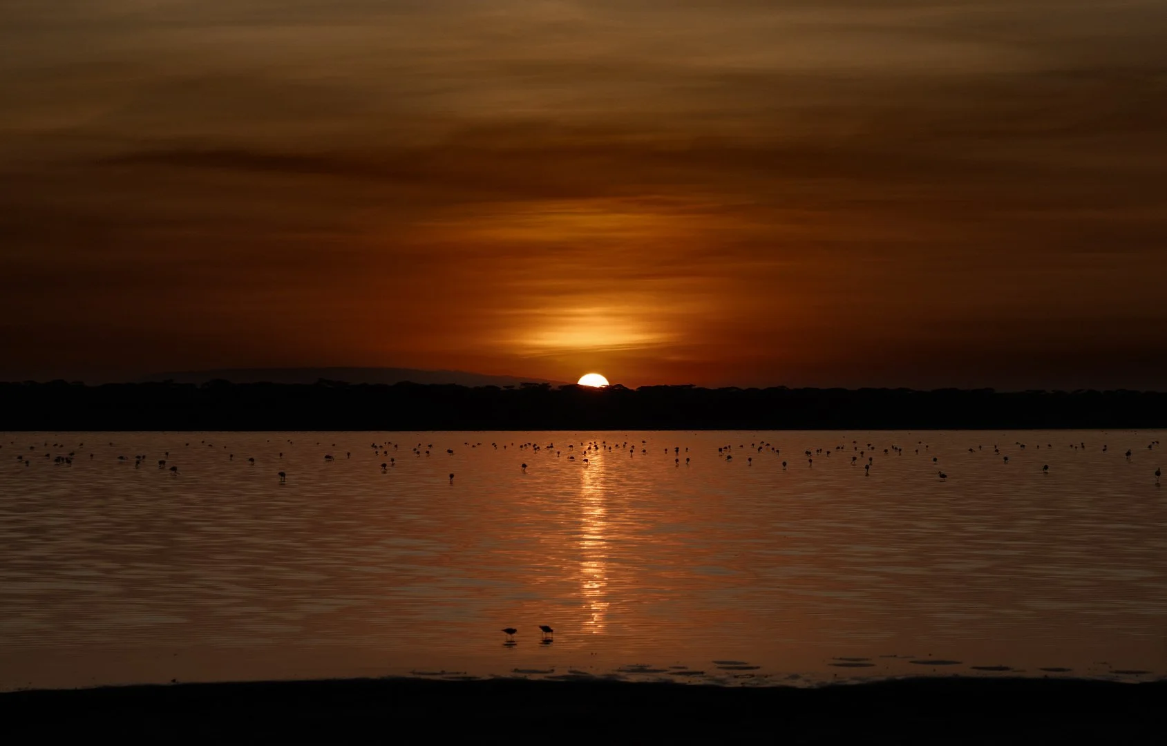 May26-AB-Open-DPI-Honour---Sawindar-Ranu---Sunrise-in-Ndutu-Tanzania.jpg
