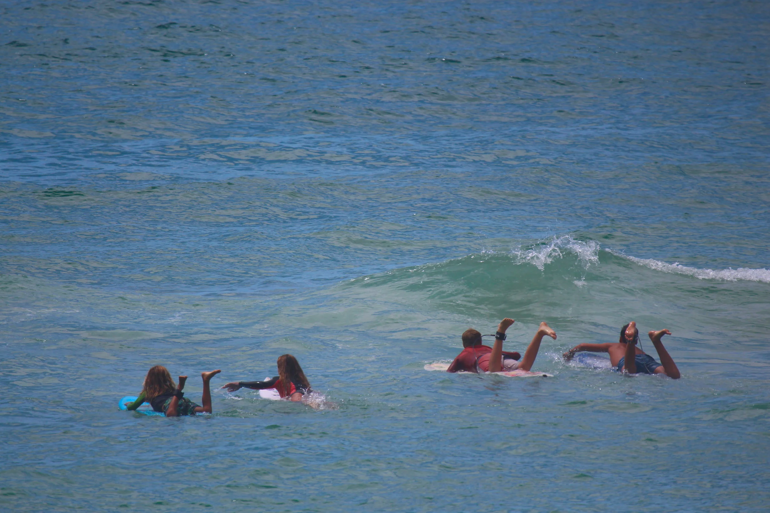 IMG_1482.JPG