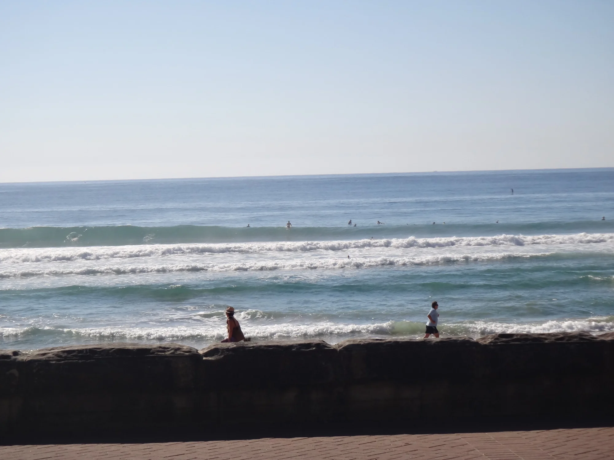 dsc00913.jpg