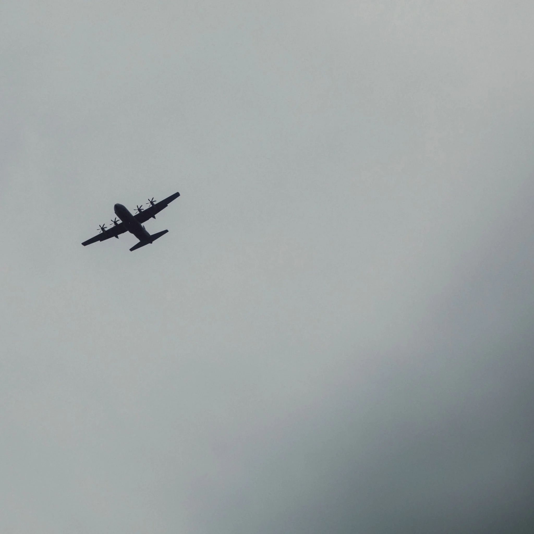 Morgan20190608-567.jpg