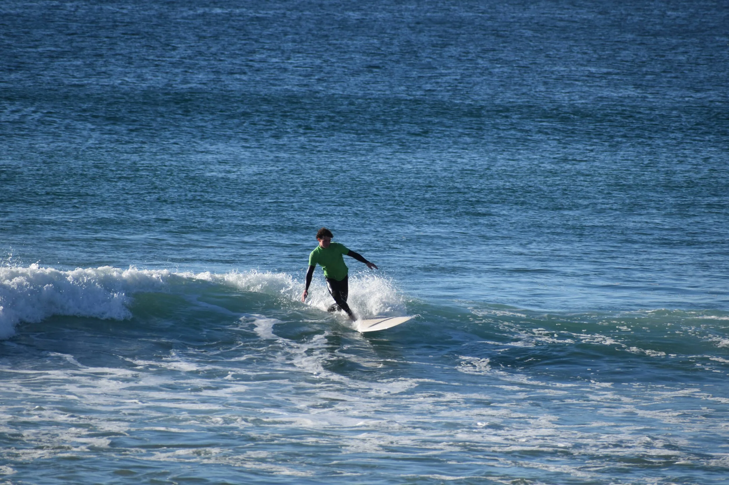 DSC_1962.jpg