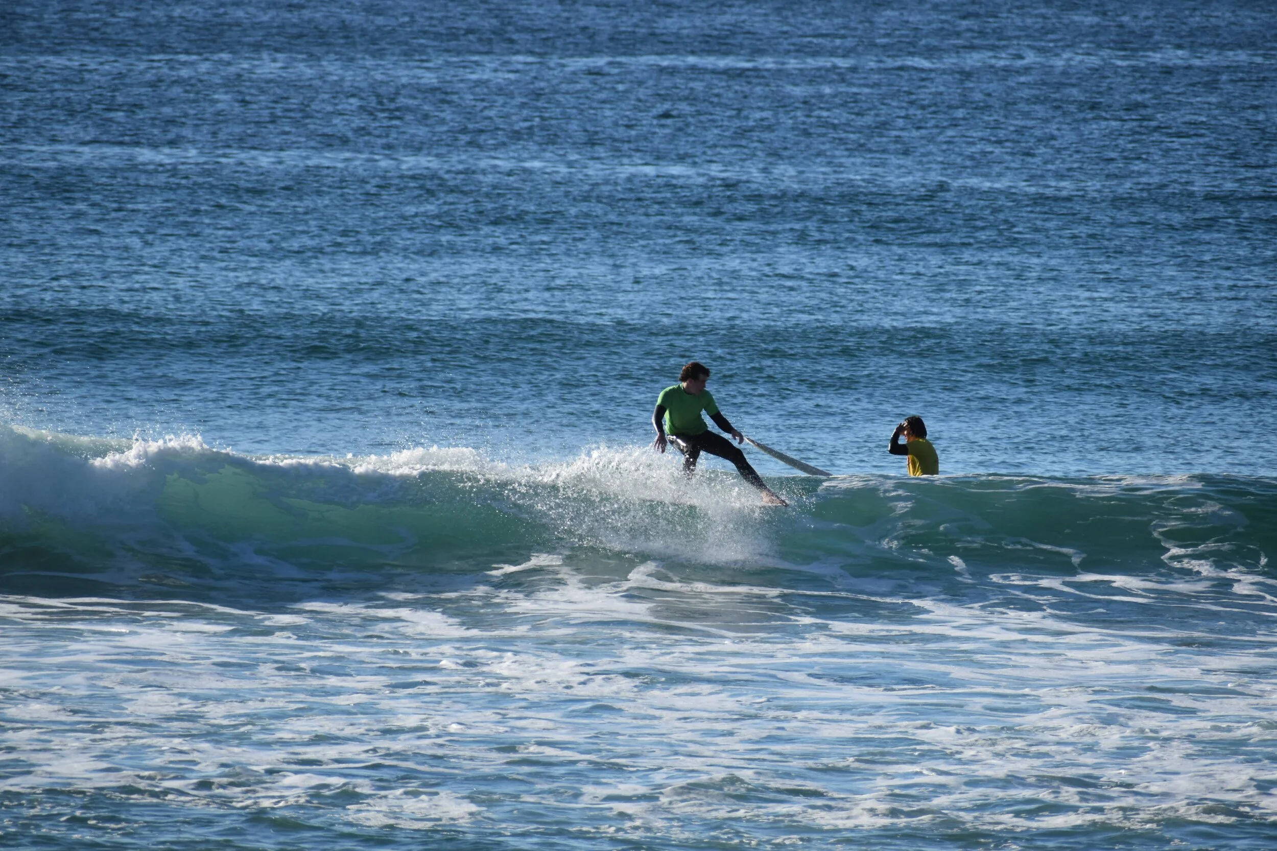 DSC_1966.jpg