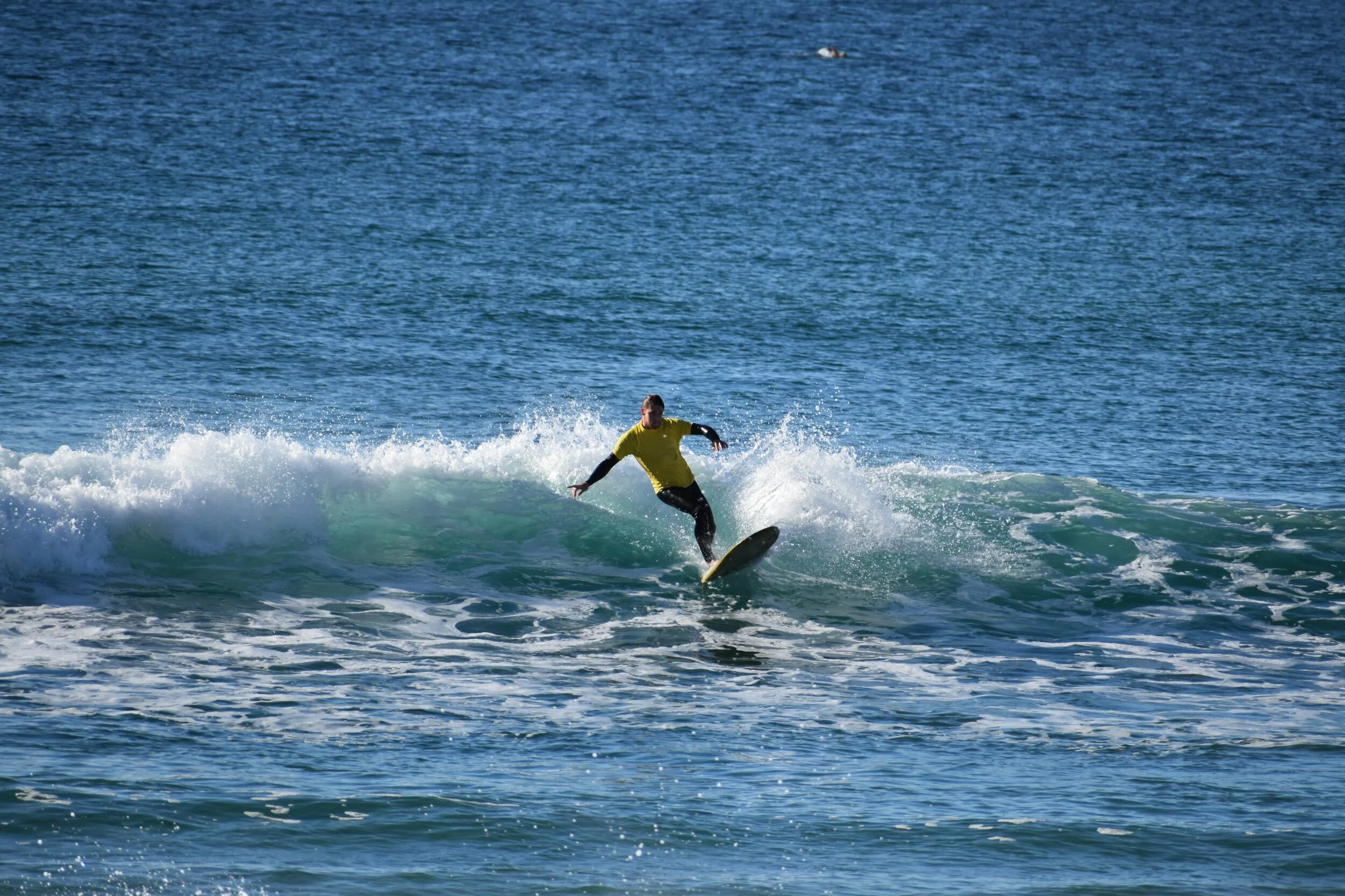 DSC_1982.jpg