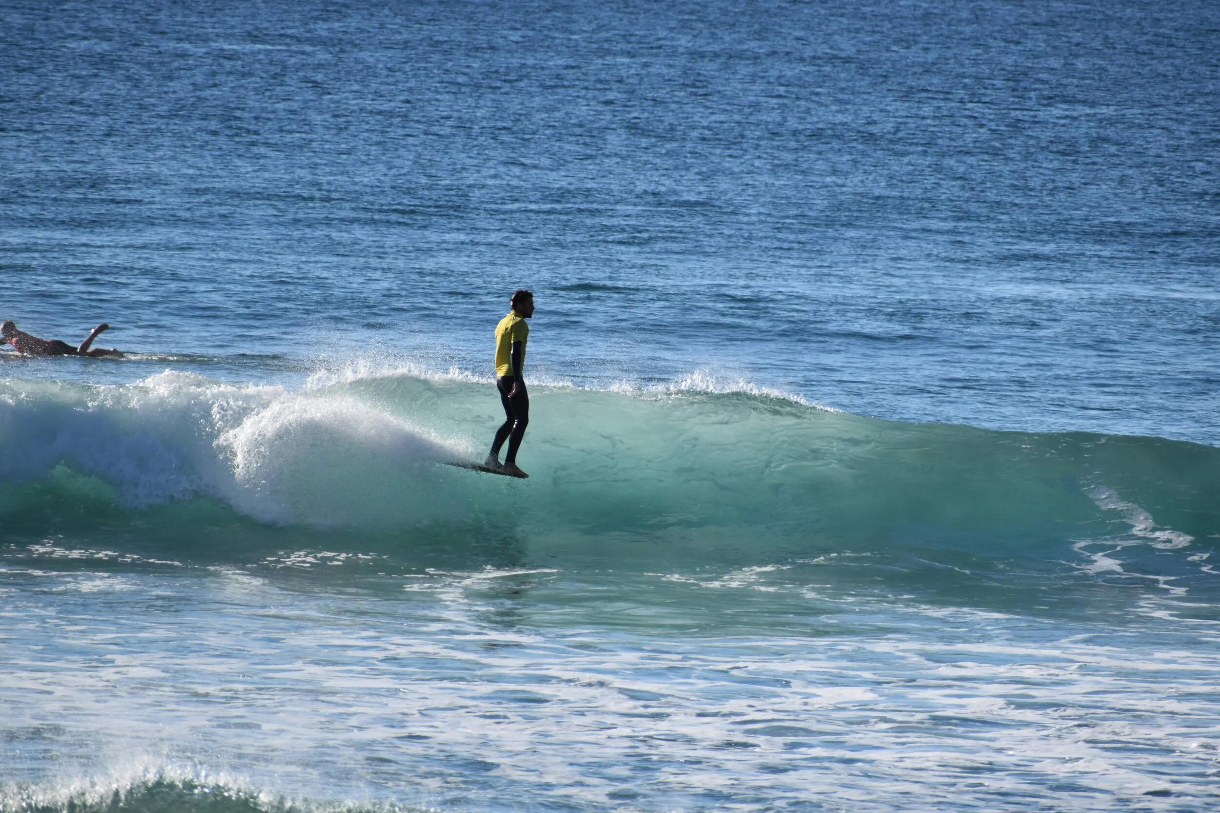 DSC_1984.jpg