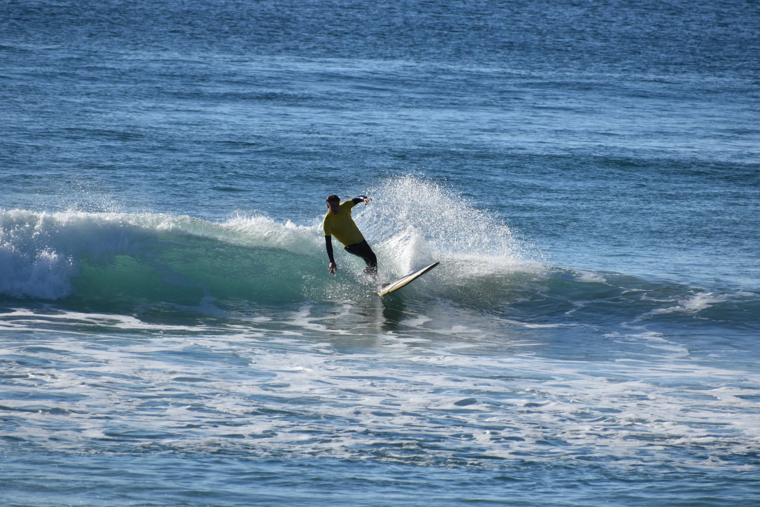 DSC_1985.jpg