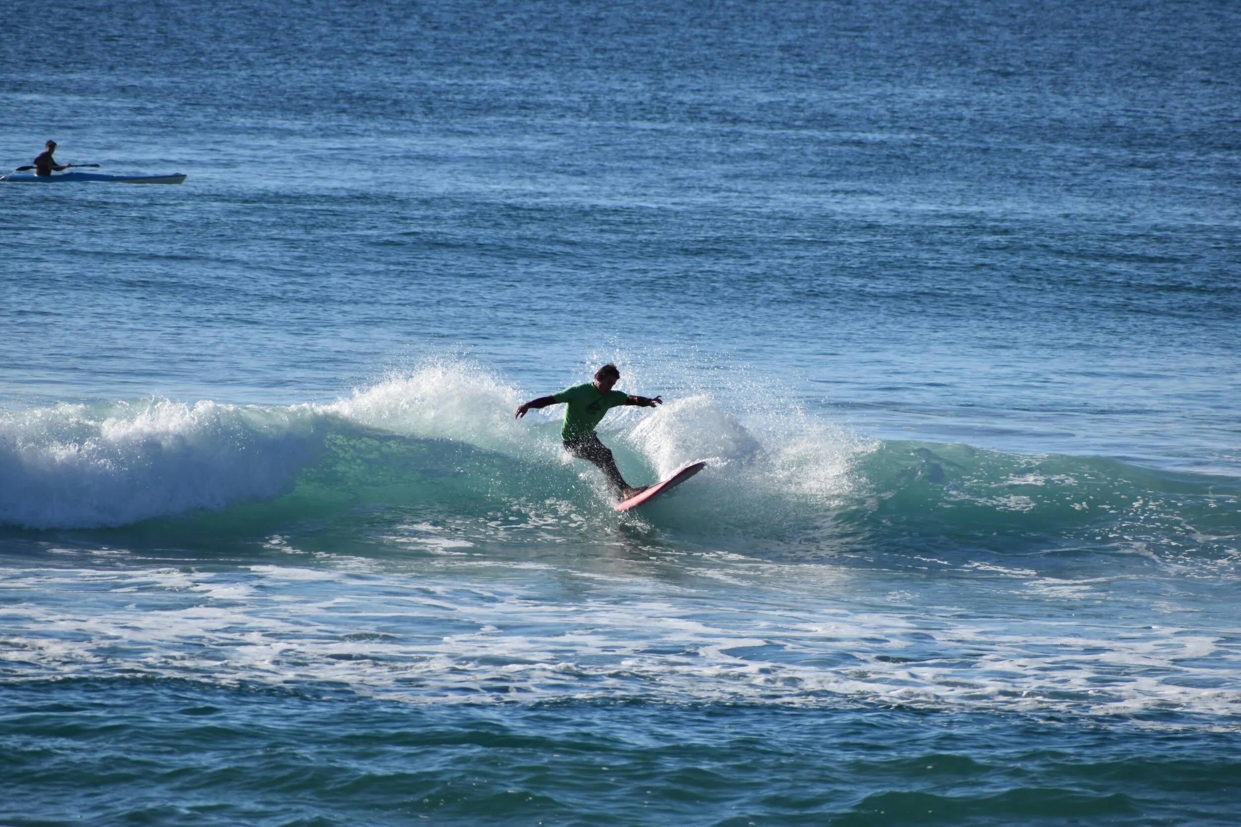DSC_1995.jpg