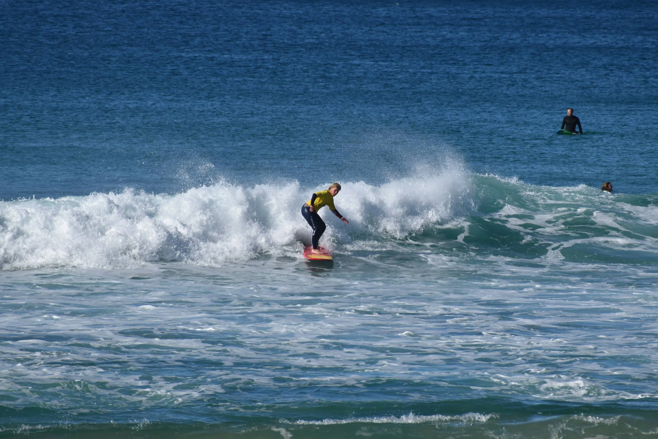 DSC_2003.jpg